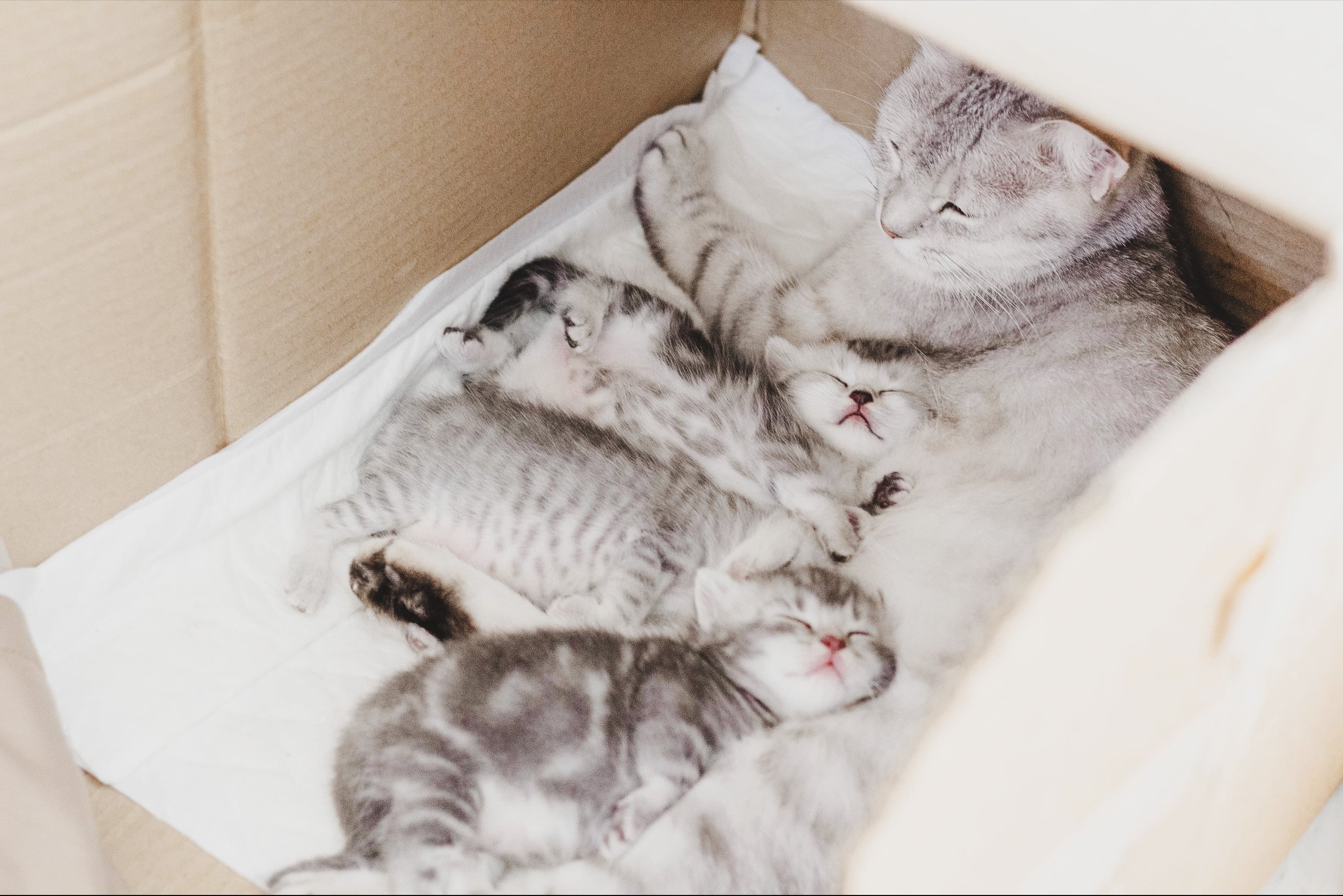 Место для родов