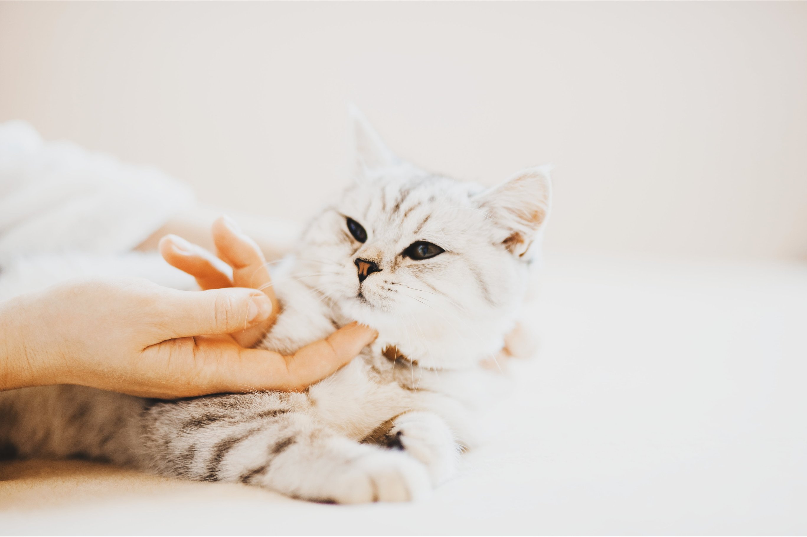 Качество корма