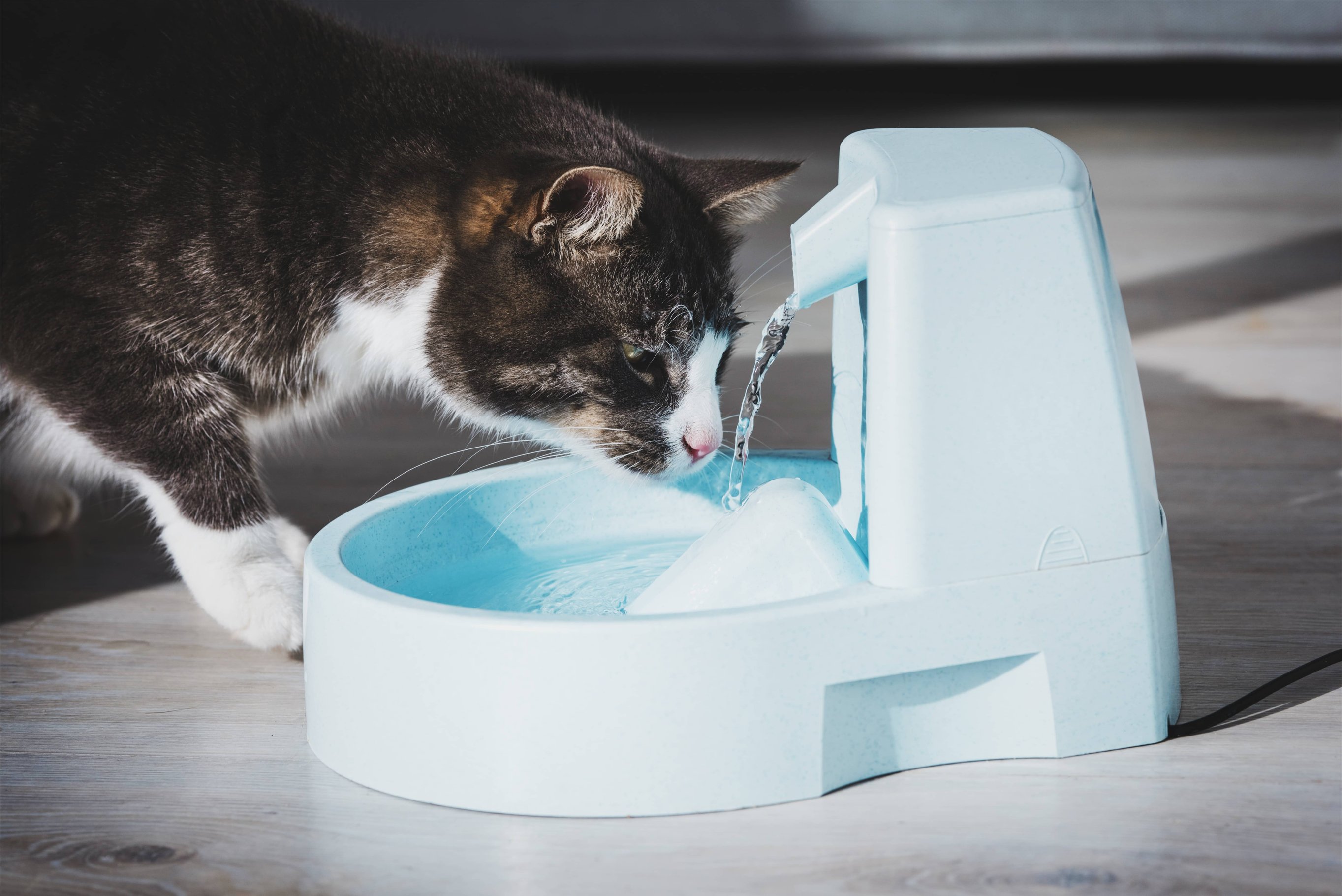 Вода в рационе