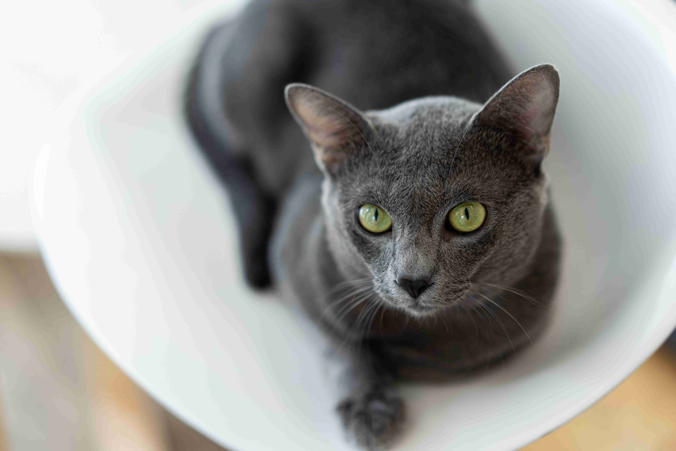 shutterstock_2319988963_5_11zon