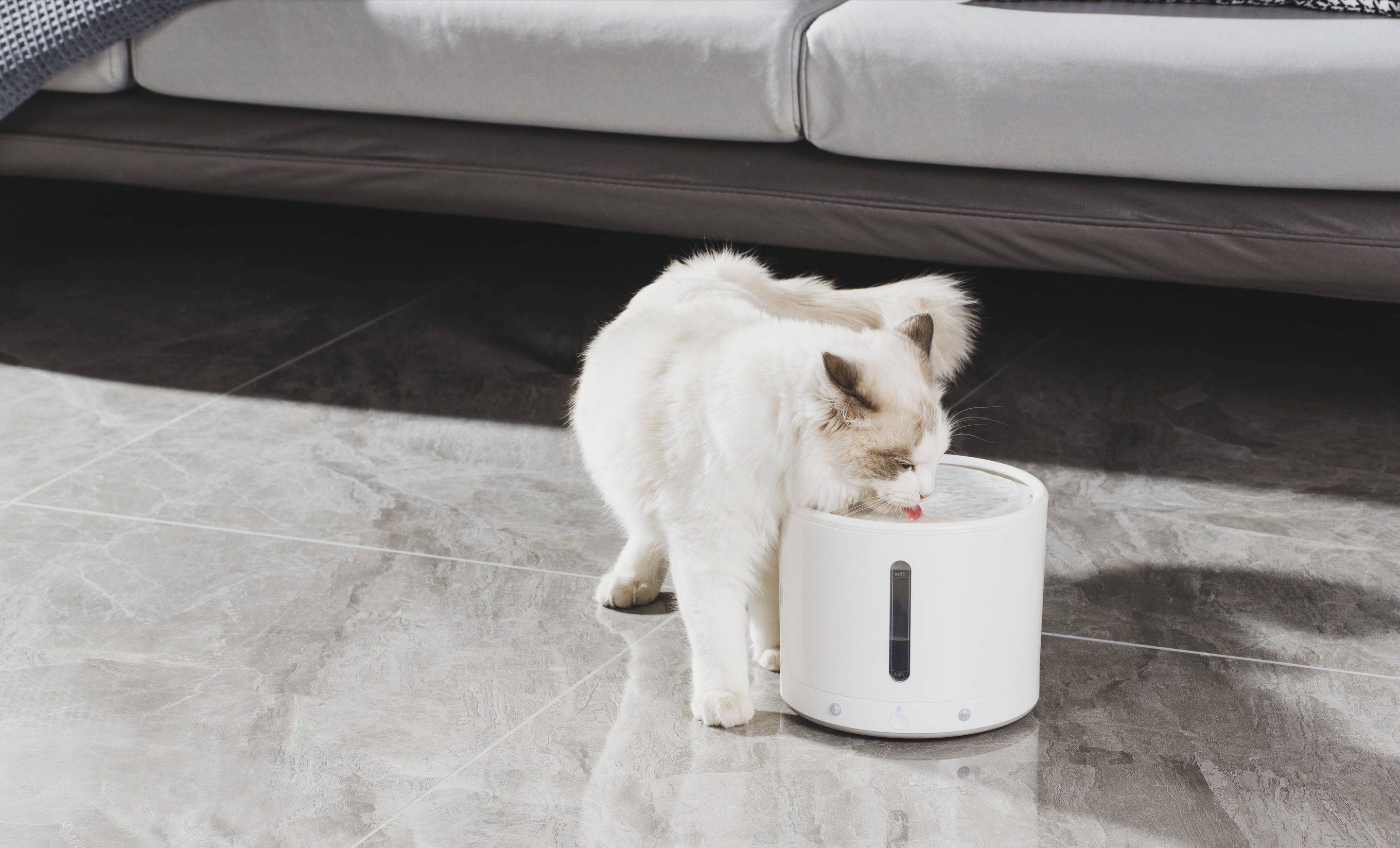 Особенности кормления в первые дни после родов