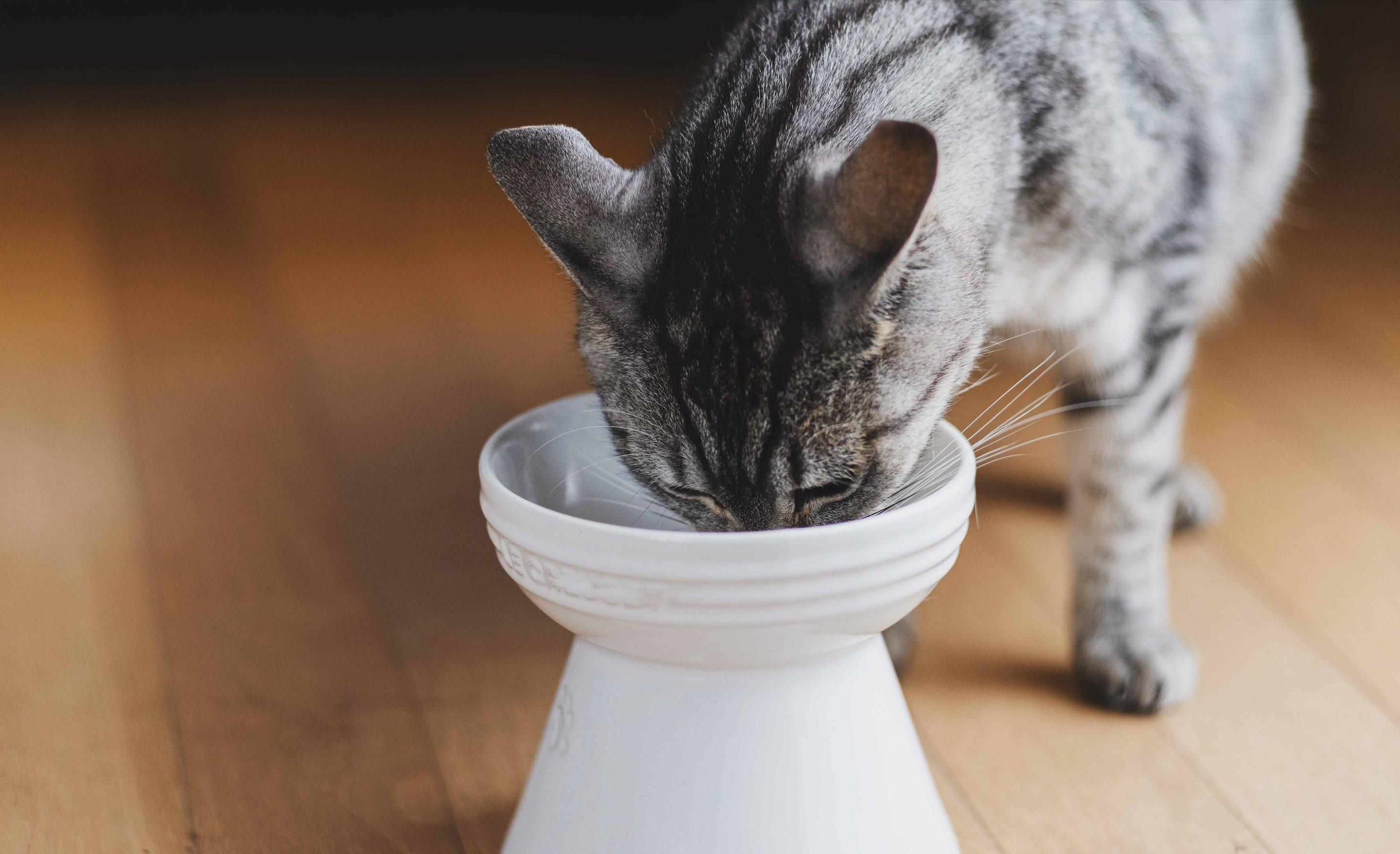 Профилактика стресса