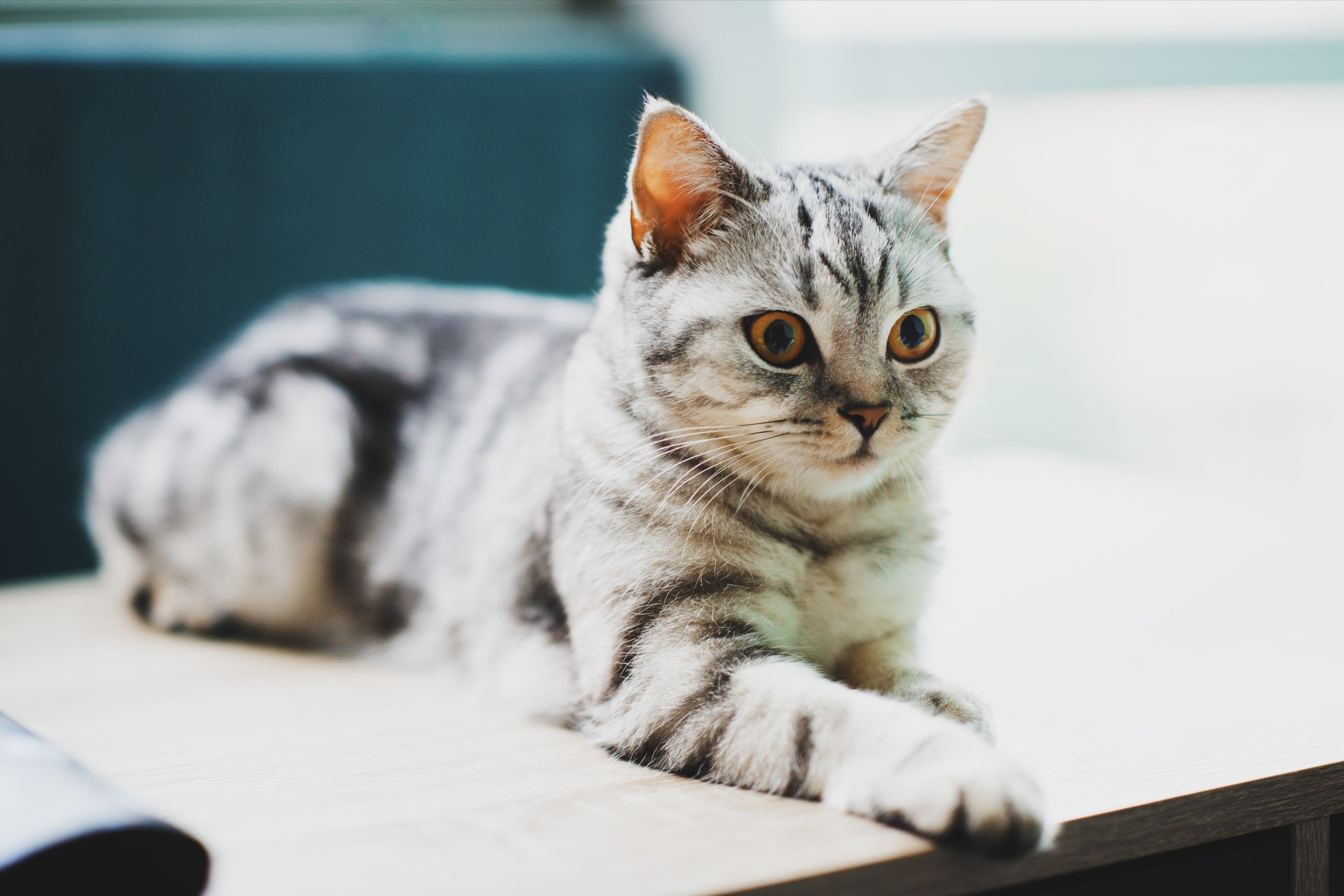 Что такое стресс?